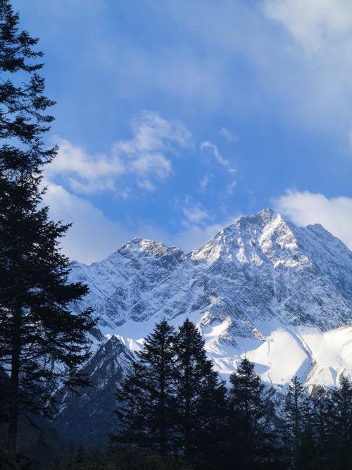 🔥 别让闲置服务器烧钱！手把手教你秒删Midjourney服务器，省心又省钱！
